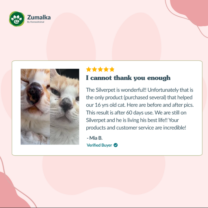 Silverpet: Natural Immune Support for Dogs and Cats