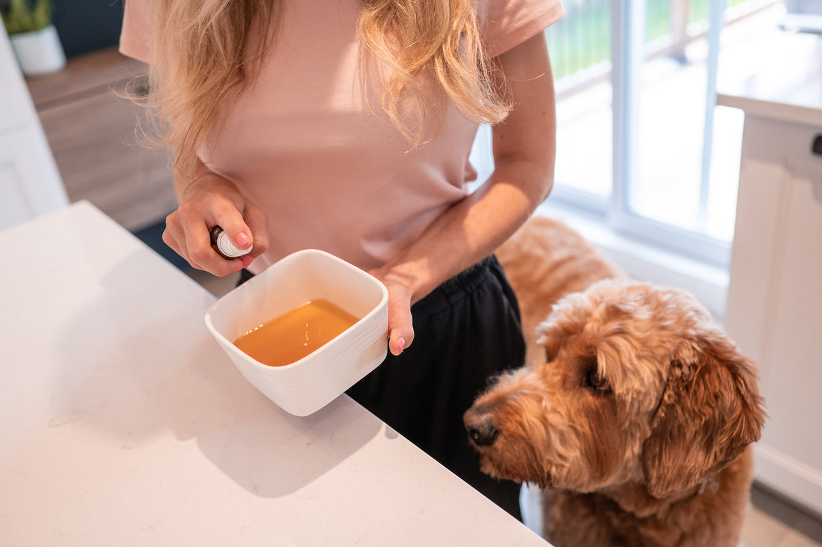 Dust Mite Allergy Remedy for Dogs, Cats & Pets Zumalka