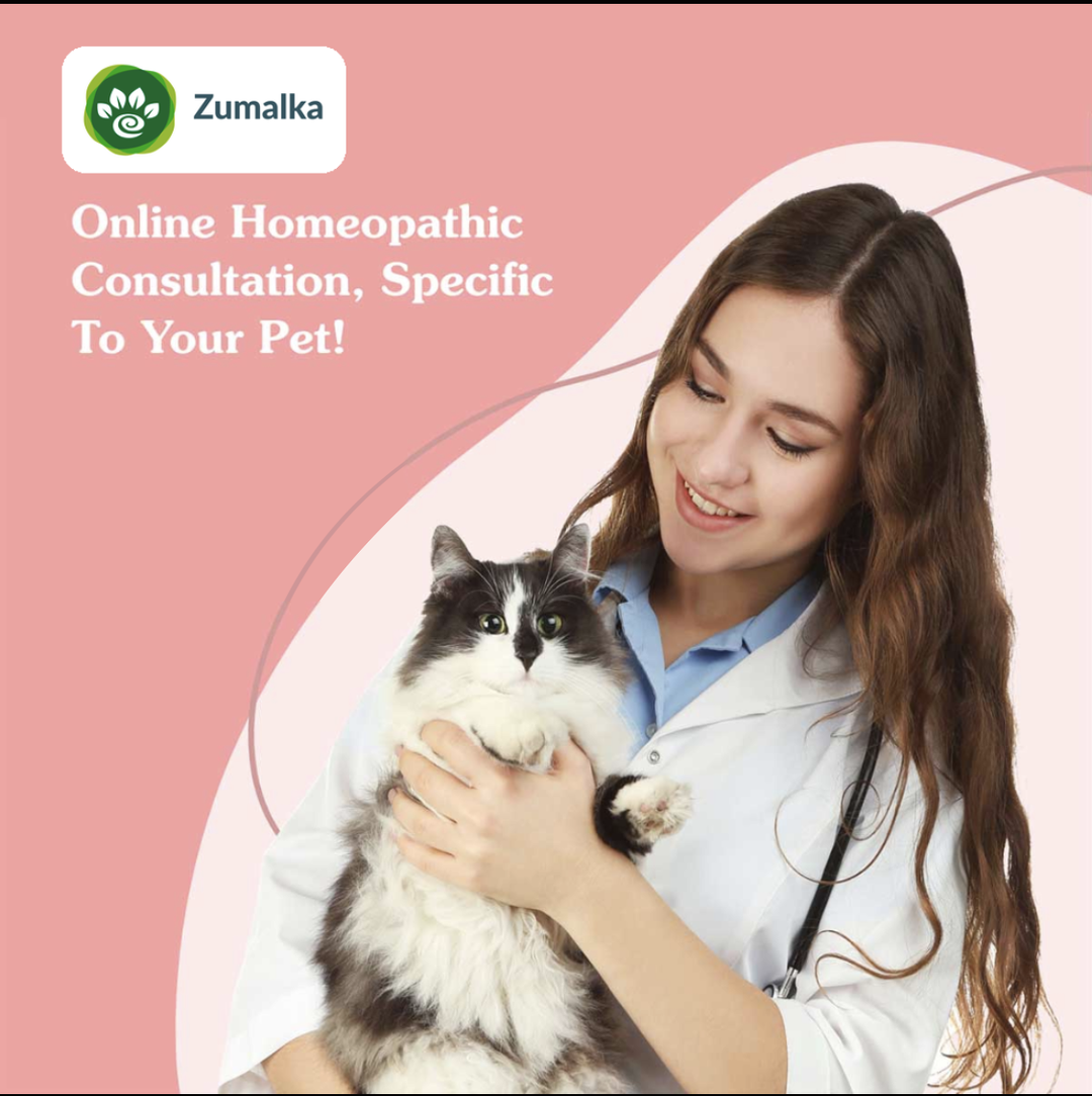 Custom Homeopathic Remedy Consultation for Dogs, Cats & Pets