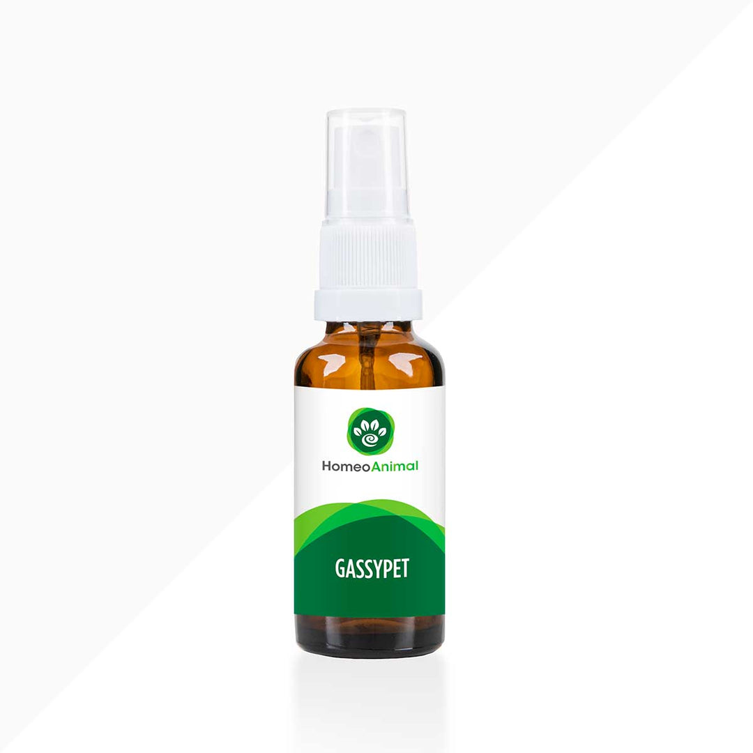 GASSYPET: Digestive Health Support for Cats & Dogs | Zumalka