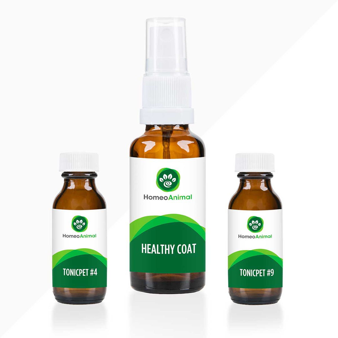 Healthy Coat - Advanced
