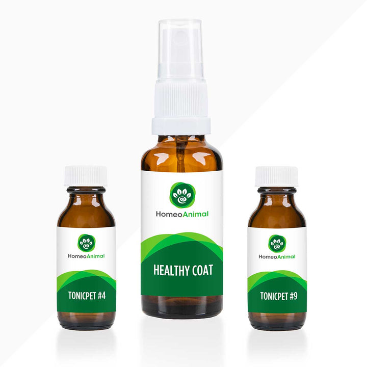 Healthy Coat - Advanced